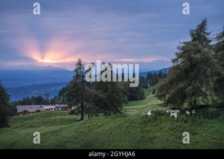 Coucher de soleil à Alpe di Siusi ou Seiser Alm.Alpes Dolomites, Trentin-Haut-Adige, Tyrol du Sud, Italie, Europe Banque D'Images