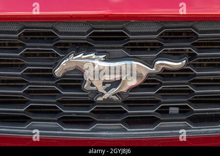 autocollant ford mustang galloping de cheval d'élevage sur la grille de radiateur d'une voiture ford mustang. Banque D'Images