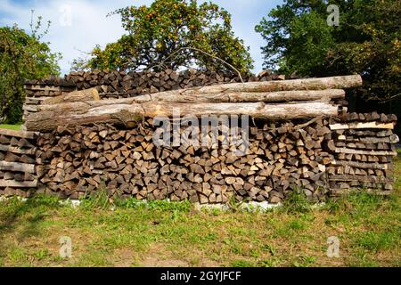 Les bûches se trouvent sur une pile de bois de chauffage prêt à être haché Banque D'Images