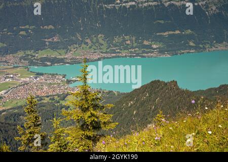 Lac de Brienz Banque D'Images