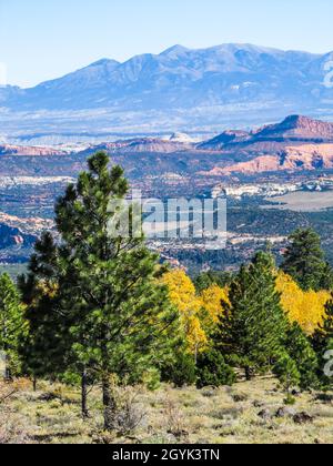 Vue sur Boulder Mountain et d'autres montagnes du plateau Aquarius, Utah, États-Unis, avec des pins à feuilles persistantes et des Aspen, dans leurs couleurs d'automne dorées Banque D'Images