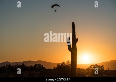 Un parachute motorisé ou PPC vole près de Quartzsite, en Arizona, au coucher du soleil avec le cactus saguaro au premier plan. Banque D'Images