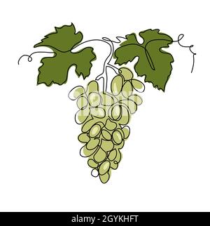 Grappe de raisin vert un dessin d'art à une seule ligne.Illustration vectorielle continue de vigne.Bouquet de raisin pour la conception d'étiquettes de jus ou de vin Illustration de Vecteur