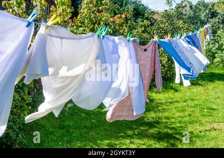 Des vêtements fraîchement lavés sèchent dehors sur une ligne de lavage dans un jardin arrière. Banque D'Images