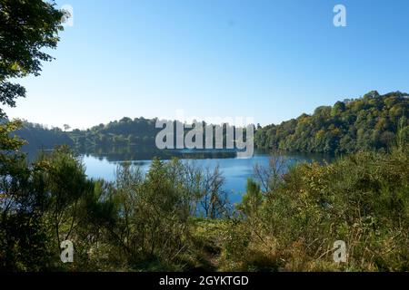 Photo d'un lac cratère, maar en automne en allemagne Banque D'Images