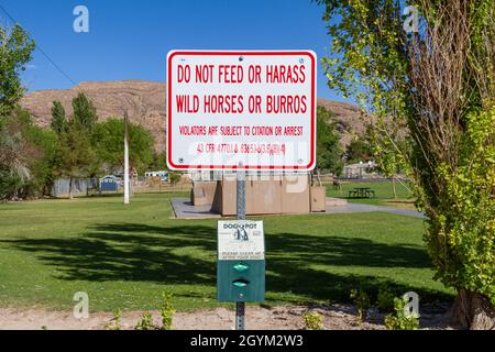 Blue Diamond, NV, États-Unis – 8 juin 2021 : un panneau lecture ne pas nourrir ou harceler les chevaux sauvages ou les burros postés dans un parc de la ville de Blue Diamond, Nevada. Banque D'Images