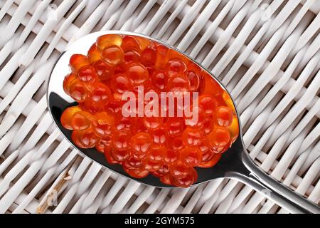 Caviar rouge légèrement salé de saumon kéta dans une cuillère en métal sur un tapis de vigne, vue rapprochée, vue de dessus. Banque D'Images