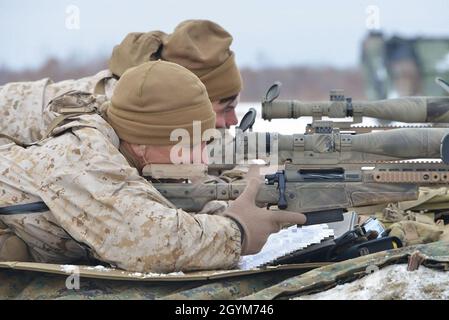 Les Marines des États-Unis du 2e Bataillon, 3e Régiment, 3e Division maritime, conduisent une gamme de fusils de sniper bilatéraux avec des soldats de la 5e Brigade, Force d'autodéfense terrestre du Japon, pendant l'exercice Viper du Nord sur la zone d'entraînement de Hokudaien, Hokkaido, Japon, 28 janvier 2020.Northern Viper est un exercice de formation régulier conçu pour améliorer l'interopérabilité de l'Alliance américaine et japonaise en permettant aux forces opérationnelles aériennes-terrestres de la Marine Expeditionary Force III de maintenir leur létalité et leur compétence dans les opérations d'armes combinées de la MAGTF dans des environnements froids. Banque D'Images