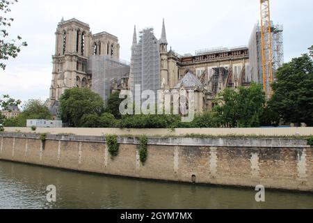 cathédrale notre-dame de paris (france) Banque D'Images