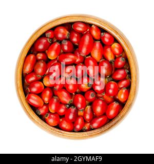 Bassin frais de roses sauvages dans un bol en bois.Également la rose harde ou la rose.Fruits rouges mûrs et intenses, utilisés pour les tisanes, la confiture et peut être mangé cru. Banque D'Images