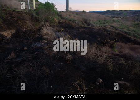 La végétation brûlée peut être vue près des routes Cristianitos et Basilone à bord du camp de base du corps des Marines Pendleton, Californie, le 30 janvier 2020.Le service des incendies du camp Pendleton et l'autorité des incendies du comté d'Orange ont répondu aux deux incendies de broussailles pendant la nuit.Les incendies ont brûlé environ un hectare et provoqué des ralentissements le long de l'Interstate Highway 5.(É.-U.Photo du corps marin par Cpl.Dylan Chagnon) Banque D'Images