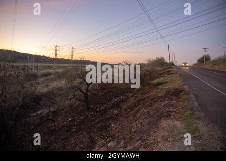 La végétation brûlée peut être vue près des routes Cristianitos et Basilone à bord du camp de base du corps des Marines Pendleton, Californie, le 30 janvier 2020.Le service des incendies du camp Pendleton et l'autorité des incendies du comté d'Orange ont répondu aux deux incendies de broussailles pendant la nuit.Les incendies ont brûlé environ un hectare et provoqué des ralentissements le long de l'Interstate Highway 5.(É.-U.Photo du corps marin par Cpl.Dylan Chagnon) Banque D'Images