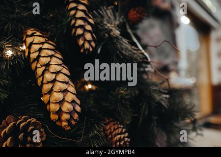 Cônes forestiers sur l'arbre de Noël. Composition du nouvel an. Ambiance festive. Concept de vacances d'hiver Banque D'Images
