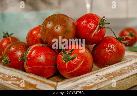 Tomates cerises rouges mûres fraîches et biologiques sur le cadre woooden.Gouttes d'eau douce.Vue frontale. Banque D'Images
