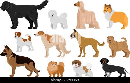 Dessin animé chiot chiens races animaux personnages mignons.Jeu d'illustrations vectorielles Dachshund, Shepherd, malinois et Jack russell terrier.collie domestique et Illustration de Vecteur