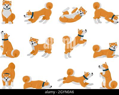 Routine quotidienne de chien de dessin animé akita, chien de compagnie de chien marchant, dormant et hurlant.Trucs pour animaux domestiques, jeu d'illustrations vectorielles d'actions animales d'akita mignon Illustration de Vecteur