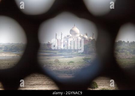 Taj Mahal vu d'une fenêtre de fort Agra, État de l'Uttar Pradesh, Inde Banque D'Images