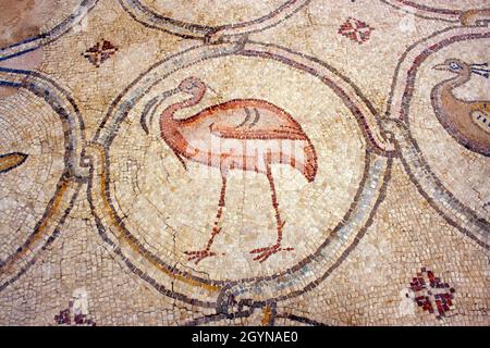 Mosaic of ibis Birds Mosaic est un sol en mosaïque byzantine découvert à Césarée, en Israël.Césarée Maritima également connue sous le nom de Césarée palestinienne Banque D'Images