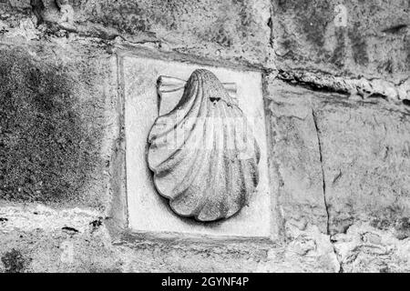 Photo en échelle de gris d'un bord de mer en pierre sur la façade d'un bâtiment Banque D'Images