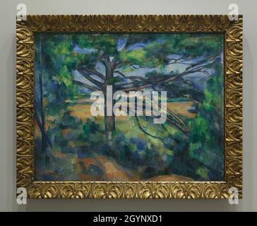 Peinture du "Grand PIN près d'Aix-sur-Provence" par le peintre moderniste français Paul Cézanne (1895-1897) exposée à l'exposition "les icônes de l'art moderne de la collection Morozov" de la Fondation Louis Vuitton à Paris, France.L'exposition se déroule jusqu'au 22 février 2022. Banque D'Images