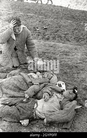 Une image affligeante d'un homme qui tient la tête en incrédulité alors qu'il regarde les corps de sa famille, assassinés par les nazis en URSS. Banque D'Images