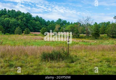 Nichoir sur un poteau dans un champ ouvert. Forêt mixte avec des pins blancs. Graminées sèches et prés d'arbres. Sanctuaire de faune Broadmoor de Mass Audubon Banque D'Images