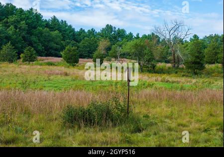 Nichoir sur un poteau dans un champ ouvert. Forêt mixte avec des pins blancs. Graminées sèches et prés d'arbres. Sanctuaire de faune Broadmoor de Mass Audubon Banque D'Images