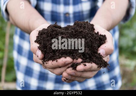 Poignée de compost de sol brun riche.Un homme tient dans des mains sales avec l'humus pour planter.Concept d'éco-agriculture Banque D'Images