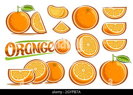 Vector oranges set, lot collection d'illustrations coupées fruits encore vie compositions avec vitamine c, dessin animé tranches d'oranges naturelles avec g Illustration de Vecteur