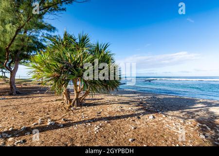 Plage de Saint Pierre à la Réunion Banque D'Images