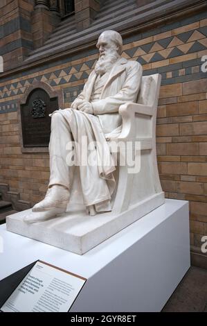 Statue en marbre de Charles Darwin (1809-1882) par Joseph Edgar Boehm, Musée d'Histoire naturelle, South Kensington, Londres, Angleterre Banque D'Images