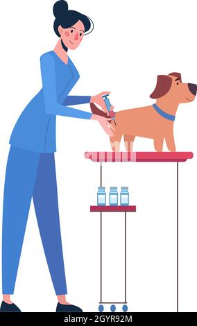 Illustration avec un vétérinaire qui vaccine un chien.Vaccination des animaux de compagnie.Vecteur de style plat isolé sur fond blanc. Illustration de Vecteur