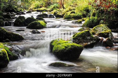 Clear Mountain Stream en été - flou de mouvement Banque D'Images
