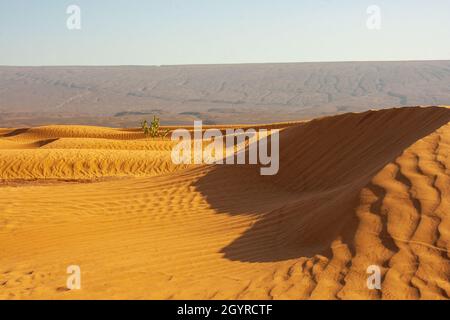 Paysage du désert du Sahara photographié à Erg Chebbi, Maroc, Afrique Banque D'Images