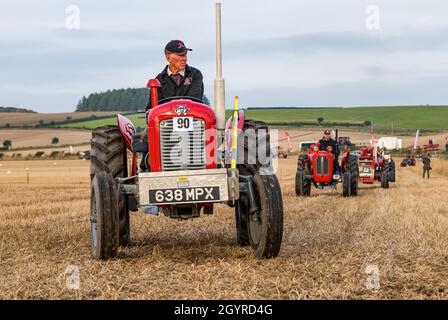 Mindrum Mill, Northumberland, Angleterre, Royaume-Uni, 9 octobre 2021.Championnats britanniques de labour : les 70e championnats, annulés l'année dernière en raison de Covid-19, ont lieu.Plusieurs catégories de tracteurs se disputent des prix au cours de l'événement de deux jours.Photo : un tracteur d'époque Massey Ferguson 1963. Banque D'Images