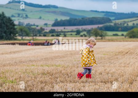 Mindrum Mill, Northumberland, Angleterre, Royaume-Uni, 9 octobre 2021.Championnats britanniques de labour : le 70e championnat, annulé l'année dernière par Covid-19, a lieu. Une petite fille marche dans un champ de chaume avec des tracteurs au loin Banque D'Images