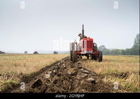 Willingham Cambridgeshire, Royaume-Uni.9 octobre 2021.Les concurrents participent au match de labour annuel de la Willingham and District labour Society lors d'une matinée d'automne brumeuse.Environ 55 participants ont participé à une variété de classes différentes utilisant des tracteurs et des charrues vintage.Chaque entrant plisse une parcelle de terre et est jugé sur des critères tels que la rectitude, les compétences dans l'ouverture d'un sillon et la neatness du sol retourné dans ce artisanal traditionnel.Crédit : Julian Eales/Alay Live News Banque D'Images