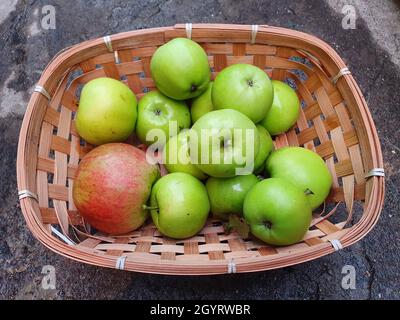 Pommes vertes d'un arbre Apollo Rocket fraîchement cueillies dans un panier en osier pendant l'automne, photo de stock Banque D'Images