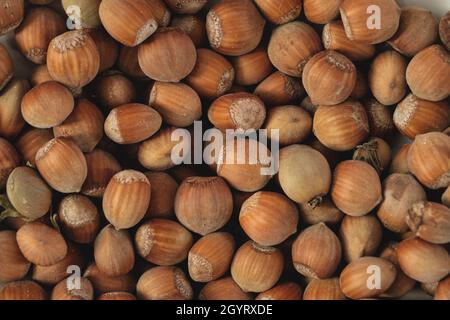 Noisettes mûres, fruits Corylus avellana vue de dessus Banque D'Images