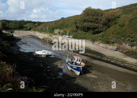 Porth Clais, ou Porthclais, port à l'embouchure de la rivière Alun, près de St David, Pembrokeshire, pays de Galles.Sur le chemin côtier de Pembrokeshire Banque D'Images