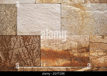 Carreaux muraux en grès céramique et porcelaine avec fini grès naturel texturé et fossile de menthe Banque D'Images