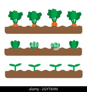 Ensemble de 3 lits de jardin avec différents légumes et plantes de croissance.Illustration d'un jardin de printemps plat.Icônes de jardinage.Illustration vectorielle en forme de bande dessinée Illustration de Vecteur