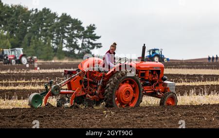 Mindrum Mill, Northumberland, Royaume-Uni, 9 octobre 2021.Championnats britanniques de labour : les 70e championnats, annulés l'année dernière en raison de Covid-19, ont lieu.Une variété de catégories de tracteurs et de charrues se disputent des prix au cours de l'événement de deux jours.Photo : Ellie Bullard, originaire de Hertfordshire, est la seule femme concurrente dans la catégorie du labour classique d'un tracteur Nuffield Banque D'Images