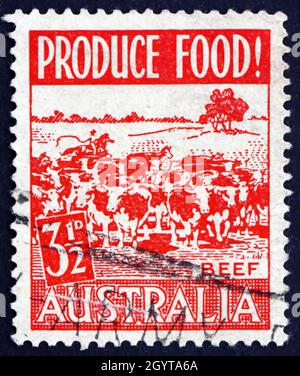 AUSTRALIE - VERS 1953 : un timbre imprimé en Australie montre le pâturage des bovins, production alimentaire, vers 1953 Banque D'Images
