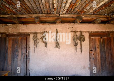 Des œillères anciennes en cuir et d'autres chevaux de tact pendent dans une grange au musée d'histoire vivant El Rancho de las Golondrinas près de Santa Fe, Nouveau-Mexique. Banque D'Images