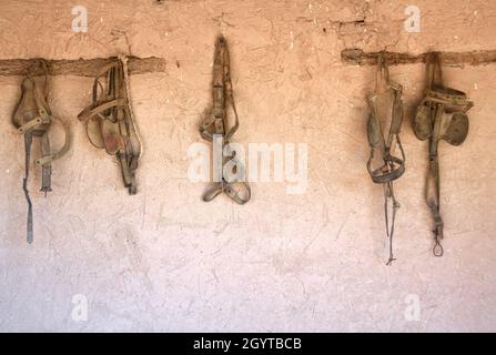 Des œillères anciennes en cuir et d'autres chevaux de tact pendent dans une grange au musée d'histoire vivant El Rancho de las Golondrinas près de Santa Fe, Nouveau-Mexique. Banque D'Images