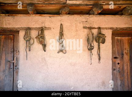 Des œillères anciennes en cuir et d'autres chevaux de tact pendent dans une grange au musée d'histoire vivant El Rancho de las Golondrinas près de Santa Fe, Nouveau-Mexique. Banque D'Images