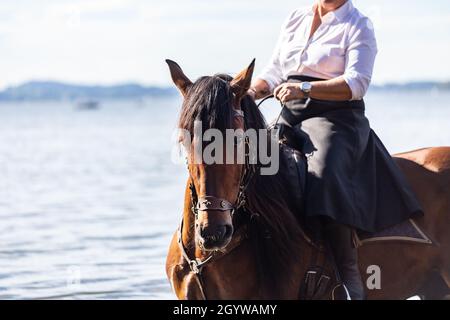 Art classique de l'équitation: Un cavalier dans une jupe d'équitation sur une pura de baie raza espanola cheval Banque D'Images