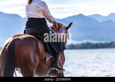 Art classique de l'équitation: Un cavalier dans une jupe d'équitation sur une pura de baie raza espanola cheval Banque D'Images