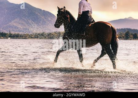 Art classique de l'équitation: Un cavalier dans une jupe d'équitation sur une pura de baie raza espanola cheval Banque D'Images